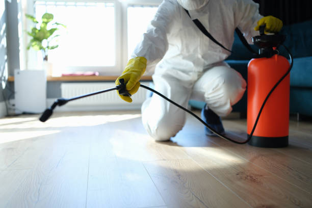 Reliable Trauma Scene Cleanup contractor in Hamilton, IL by Trauma Clean Pros